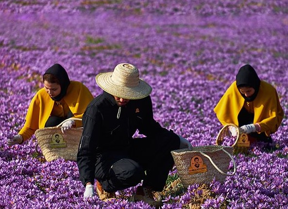 فروشگاه شما؛ کیفیتی که لمس می‌کنید